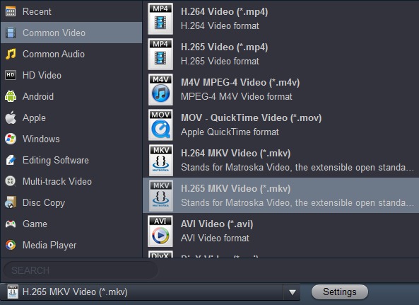 convert files to H.265 MKV