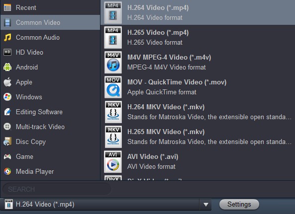 Galaxy Tab S video converter output format
