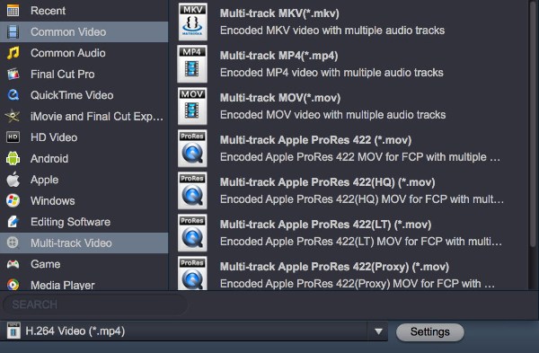 MXF multitrack converter output